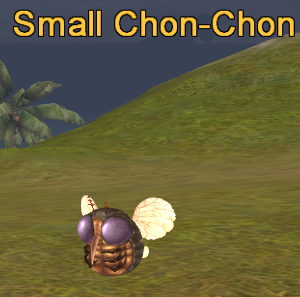 Small Chon-Chon.png