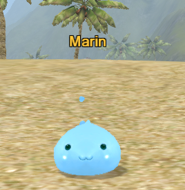 Marin.png