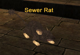 Sewer Rat.png