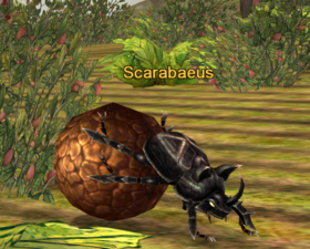 Scarabaeus.png