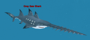 Gray Saw Shark.png