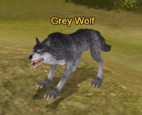 Grey Wolf.png