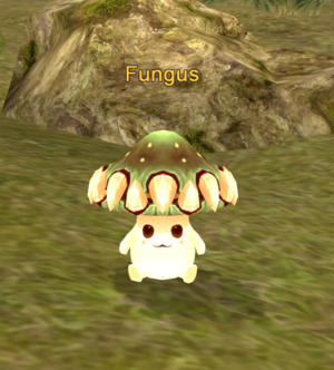 Fungus.png