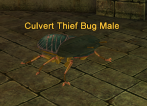 Culvert Thief Bug Male.png