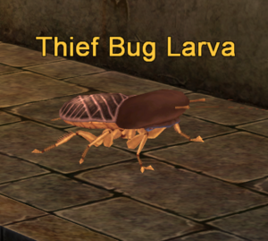 Thief Bug Larva.png