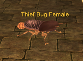 Thief Bug Female.png