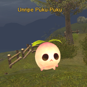 Unripe puku puku.png