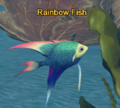 Rainbow fish.png