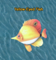 Yellow Eyed Fish.png